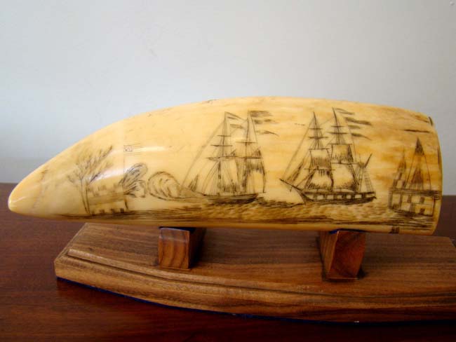 A 19th century Scrimshawed Whale's Tooth depicting a ship firing at an American fort and the fort firing back with its' cannons.